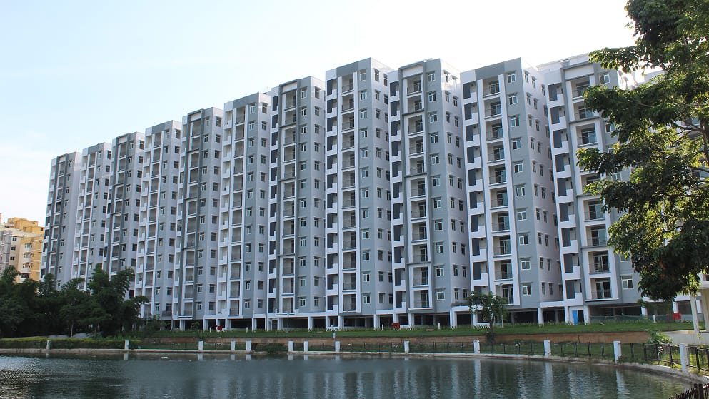 Rain Tree Park Willows Grande